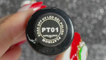 Load and play video in Gallery viewer, Platinum Gel Polish
