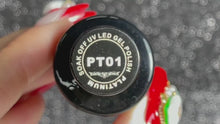 Load and play video in Gallery viewer, Platinum Gel Polish