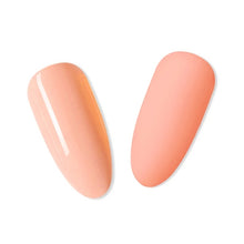 Load image into Gallery viewer, Rose Series Gel Polish
